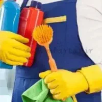 خدمتکار اقا