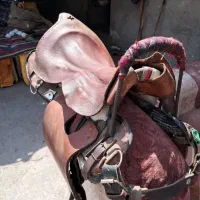 وسایل کامل اسب سواری|اسب و تجهیزات اسب‌سواری|خوی, |دیوار