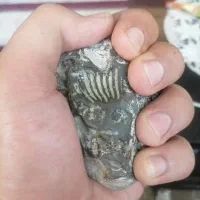 سنگ های خیلی قیمتی و قشنگ|جواهرات|بجنورد, |دیوار