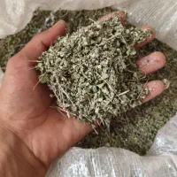 عشق آباد شهرستان طبس