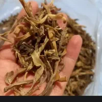 کنگرخشک
