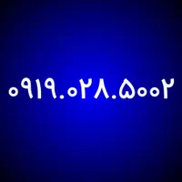 0919.28.5002
