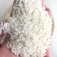 برنج هاشمی درجه یک