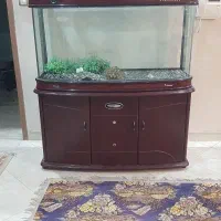 اکواریوم خارجی