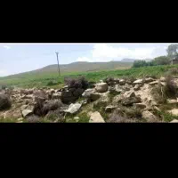 فروش زمین کشاورزی دیمی