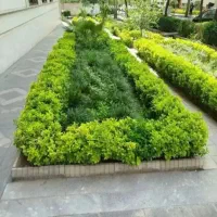 خدمات باغبانی در سراسر کرج