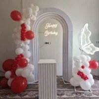 بادکنک ارایی هانی پارتی
