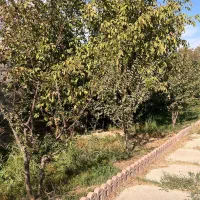 باغ ویلا ۲۲۴۵ متر سند تکبرگ عرصه واعیان درکردزار|فروش دفتر صنعتی، کشاورزی، تجاری|شهریار, کردزار|دیوار