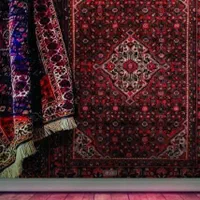 قالیشویی و مبل شویی ایران با چهل سال تجربه|خدمات نظافت|کرمانشاه, |دیوار