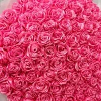 گل جاودان|گل مصنوعی|اصفهان, قهاب جنوبی|دیوار