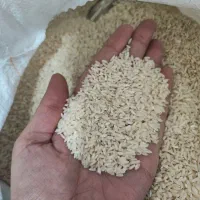 برنج عنبربو درجه یک شیروان