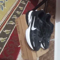 کفش|کیف، کفش، کمربند|مشگین شهر, |دیوار