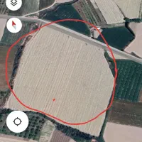 اجاره ۹ طناب زمین کشاورزی|اجارهٔ دفتر صنعتی، کشاورزی، تجاری|نوشین شهر, |دیوار