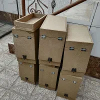 لونه و اغول گرینچیک و عروس