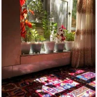اجاره  خانه ۷۵ متری  ویلایی دربستی