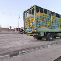 بنز ۹۱۱مدل ۴۸ کارت ۹ تن|خودرو سنگین|بیرجند, |دیوار