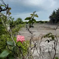 سویت-ها-روبروی-دریا