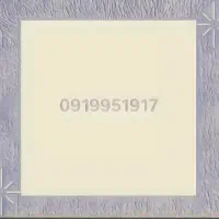 خط ۰۹۱۹ کد ۹