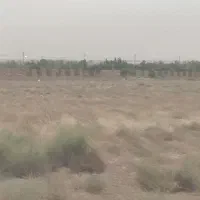 زمین-ماهدشت-سند-تک-برگ