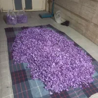 گل تازه خشک عیار بالا