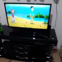 تلویزیون