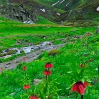 زمین مسکونی