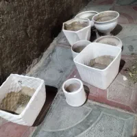 گلدون سرامیکی کاملاسالم