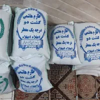 برنج هاشمی درجه یک وکشت دو|خوردنی و آشامیدنی|قم, طلاب غیر ایرانی|دیوار