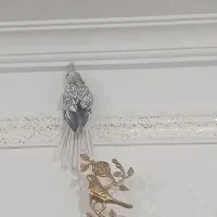 عروس هلندی ایزابلا|پرنده|بهار, |دیوار