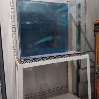 آکواریوم شیشه خم