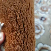 دو تخته فرش 500 شانه|فرش|تهران, شهید بهشتی|دیوار