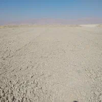 تراکتور. خدماتکشاورزی کلوخ کوب وبا کشت کمبینات|خدمات باغبانی و درختکاری|مرودشت, رودبال|دیوار