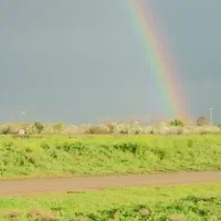 باغ دور فنس روستای دشت