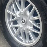 رینگ خرچنگی اروند