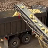 فروش آجر سگل و گری