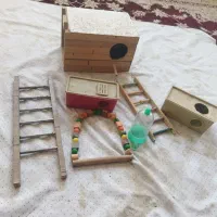 لوازم جانبی عروس هلندی