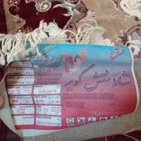 دوعدد فرش ۱۲ متری|فرش|محمدیه-قزوین, |دیوار