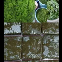 سبزی خورشتی و ماهی فقط عمده