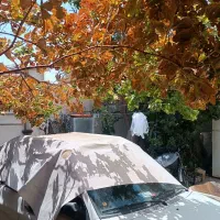 فروش منزل مسکونی|فروش خانه و ویلا|شیراز, تندگویان|دیوار