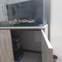 فروش آکواریوم|ماهی|شیراز, تاچارا|دیوار
