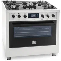 تعمیر بخاری و اجاق گاز در محل|خدمات پیشه و مهارت|خرم‌آباد, |دیوار