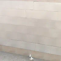 کفتر طوقی هفت رنگ نر پاک|پرنده|نجف‌آباد, یزدانشهر|دیوار