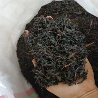 فروش چای داخلی