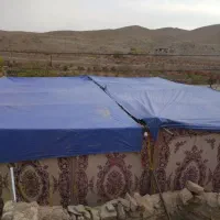 داربست عروسی  فروشی