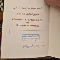 سگ فروشی|سگ|نیشابور, مدرس|دیوار