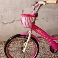 دوچرخه ۲۰دخترانه|دوچرخه، اسکیت، اسکوتر|رشت, معلولین|دیوار
