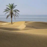 تور گروهی چابهار|تور و چارتر|یزد, |دیوار