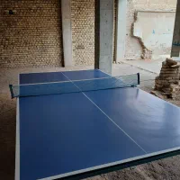 میز پینگ پنگ
