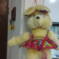 عروسک|اسباب‌‌بازی|رشت, فلسطین|دیوار