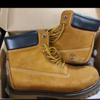 بوت تیم برلند  نونو